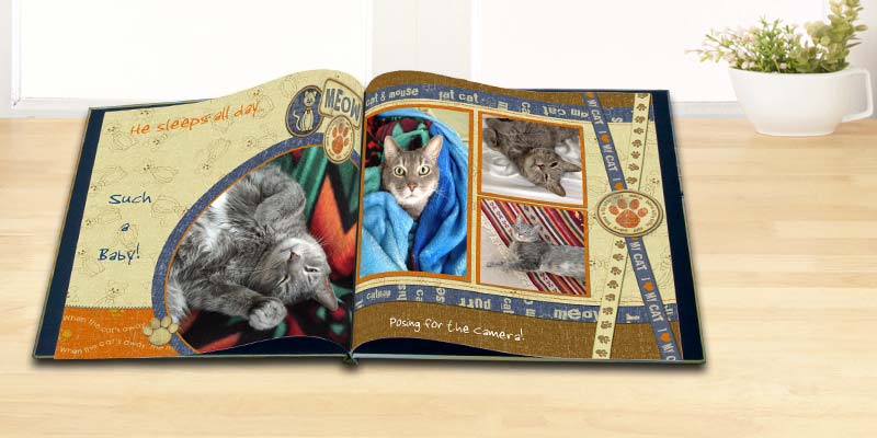 Create a memory book filled with photos of your pets